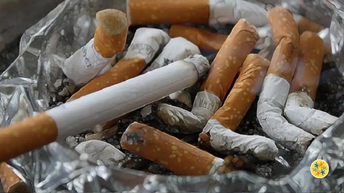 Eliminer Lodeur De Tabac Avec Astuces Pratiques