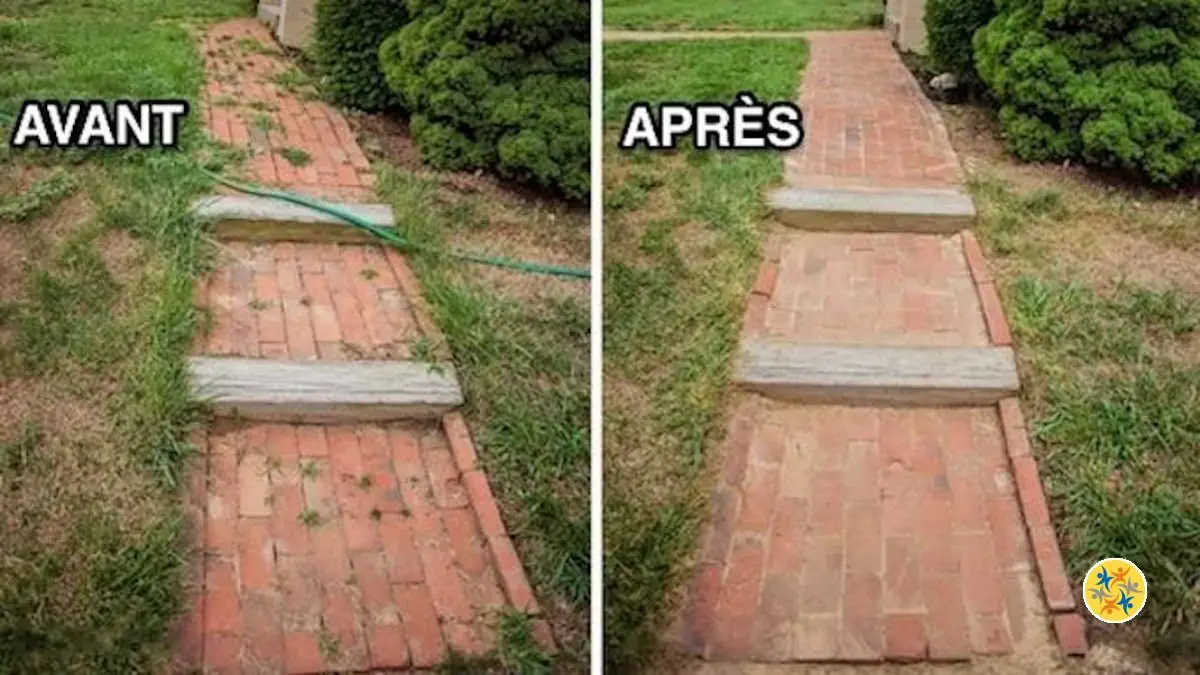 Un Désherbant Naturel Efficace Pour votre Jardin