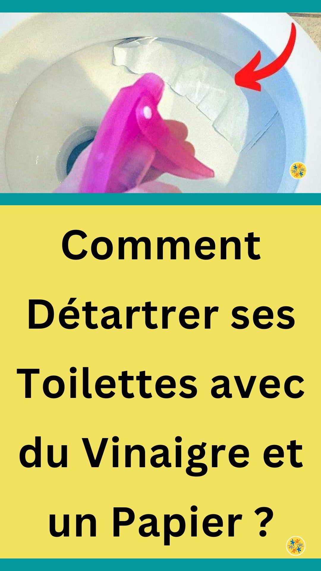 L'astuce modeste et pratique pour une cuvette hygiénique