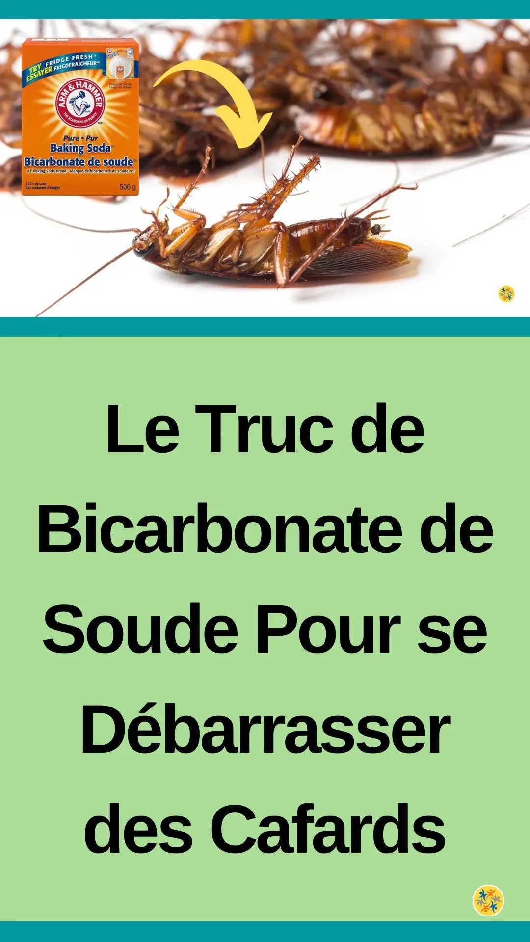 Astuce de bicarbonate de soude pour éliminer les cafards