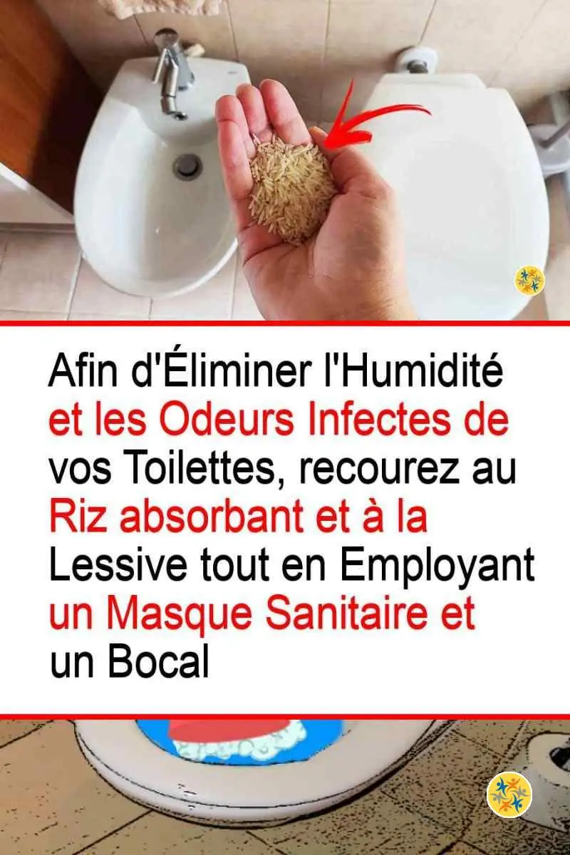 Mode d'emploi du riz près de la cuvette pour désodoriser les toilettes