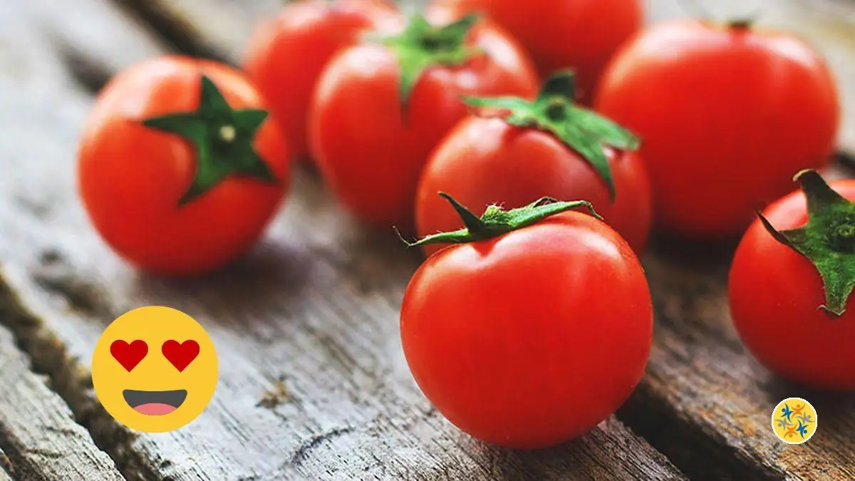 2 Gestes pour Mieux Conserver ses Tomates Fraîches