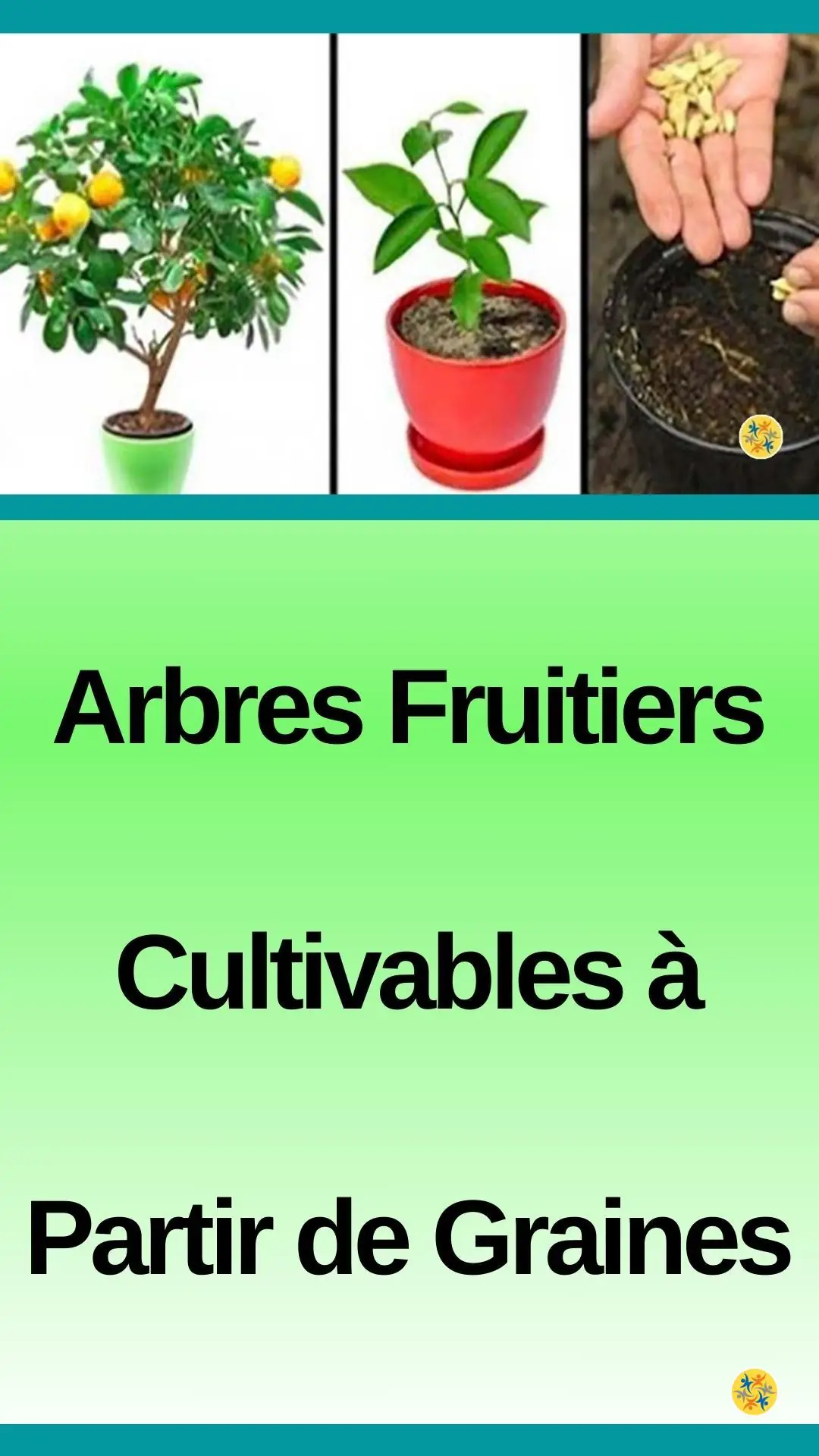 À partir de graines ou de noyaux, Ces arbres fruitiers peuvent être cultivés 