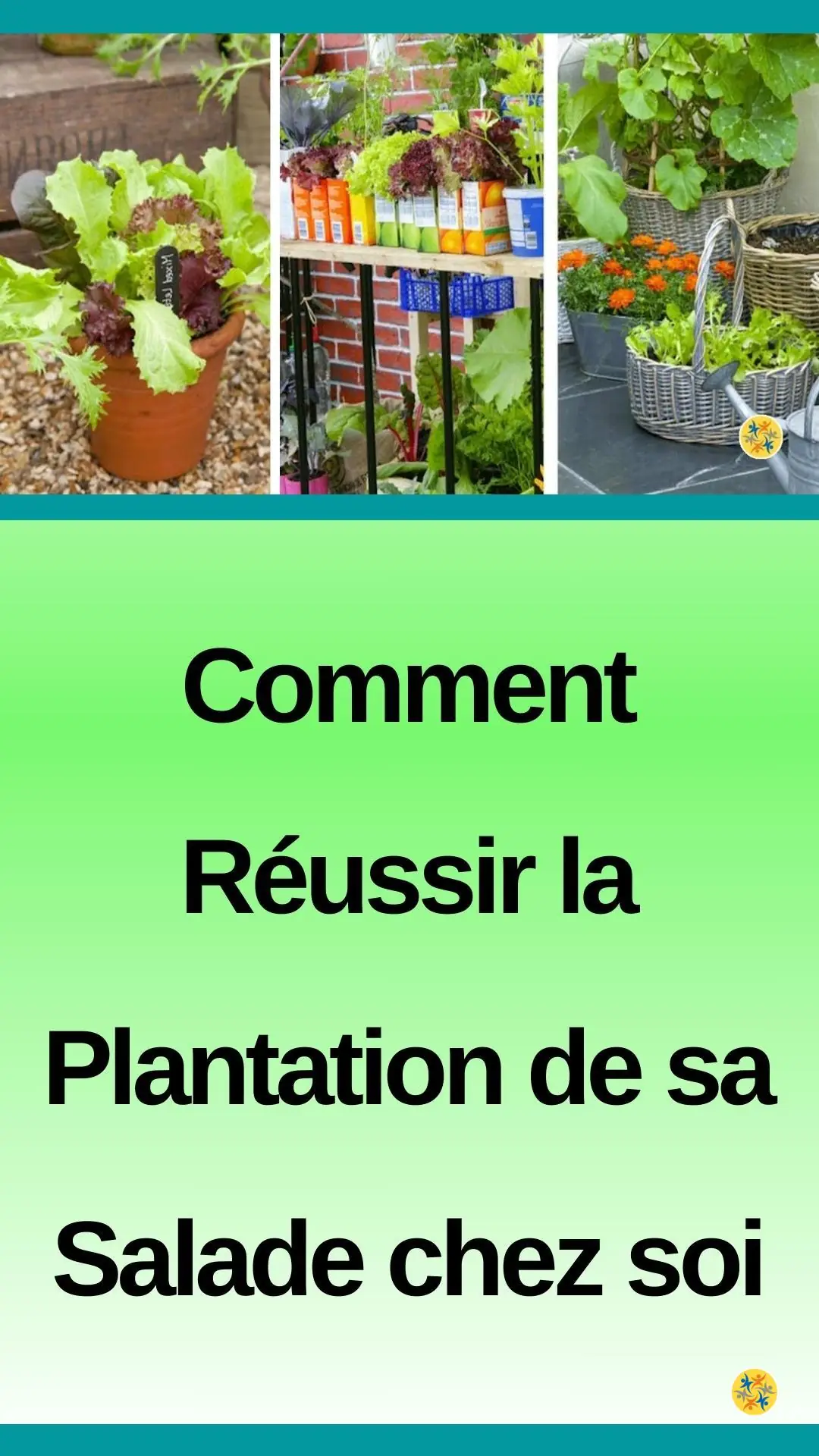 Cultiver des laitues et autres dans mon jardin 