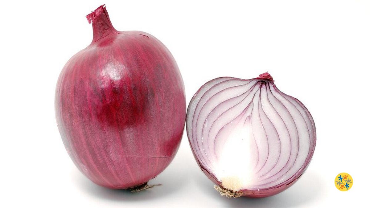 Onion Ooty