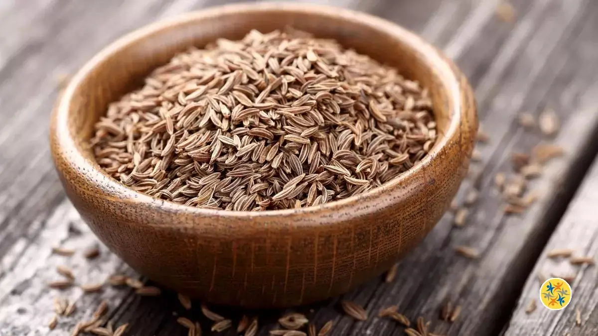 Les bienfaits de cumin à la digestion