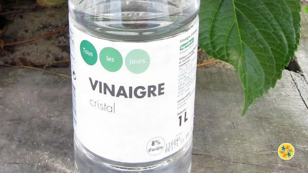 Enlever la tache d'huile avec le vinaigre blanc