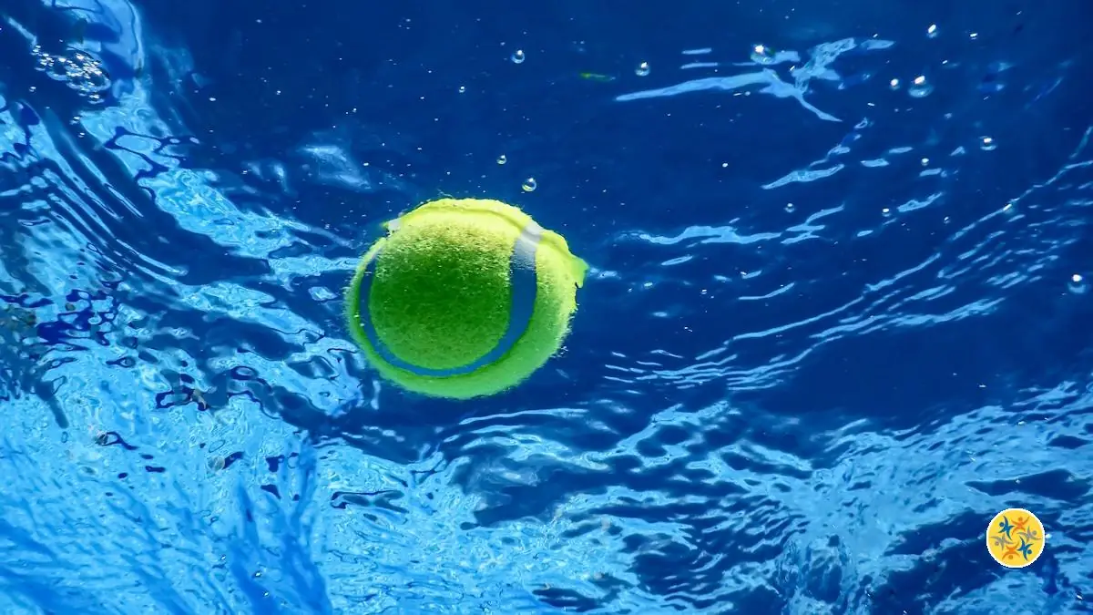 Nettoyez La Piscine Avec Une Balle De Tennis